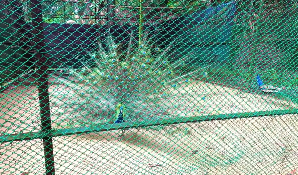 Tilagarh Eco Park